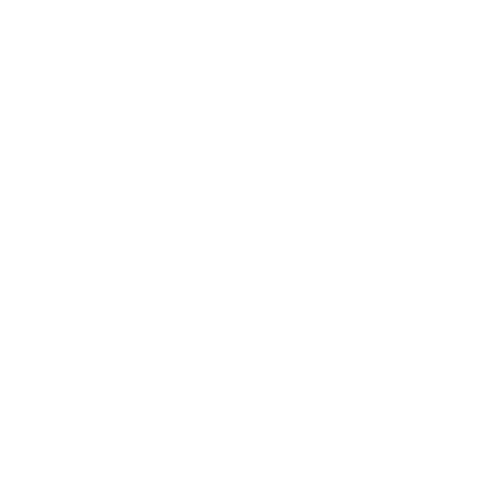 Logo CPFR Advisor blanco